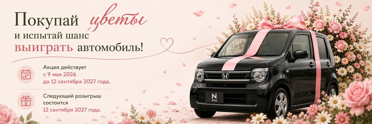 Розыгрыш