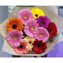 Букет из гербер «Разноцветный Микс»
